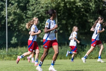 Bild 375 - wBJ Hamburger SV - VfL Wolfsburg : Ergebnis: 5:1